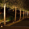 Bramblewick Avenue Uplighting Kit In Ground