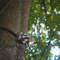 Bramblewick Eight Tree Uplighting Kit Spike Mounted