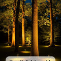 Bramblewick Three Tree Uplighting Kit In Ground