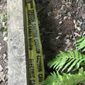 Garden Glow Essentials Cable Conduit and Warning Tape 25 Metre
