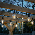 Longacre Meadowlark Warm White LED Festoon 75 Metre Catenary System